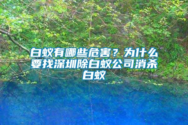 白蚁有哪些危害？为什么要找深圳除白蚁公司消杀白蚁