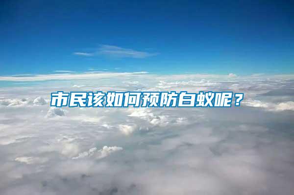 市民该如何预防白蚁呢？