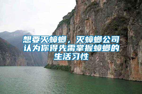 想要灭蟑螂，灭蟑螂公司认为你得先需掌握蟑螂的生活习性