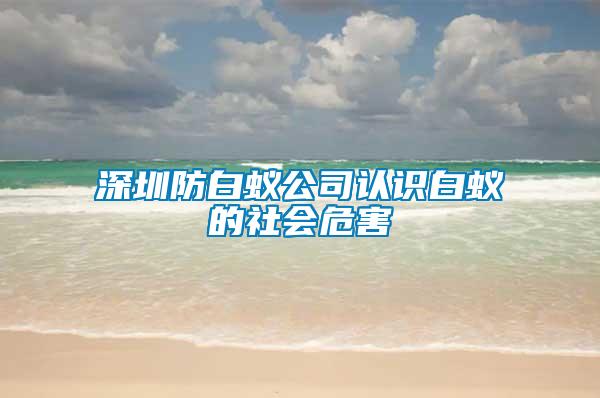 深圳防白蚁公司认识白蚁的社会危害