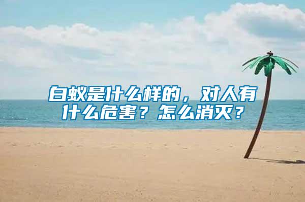 白蚁是什么样的，对人有什么危害？怎么消灭？