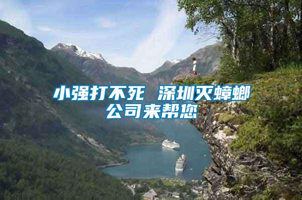 小强打不死 深圳灭蟑螂公司来帮您
