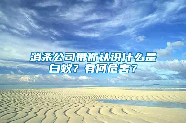 消杀公司带你认识什么是白蚁？有何危害？