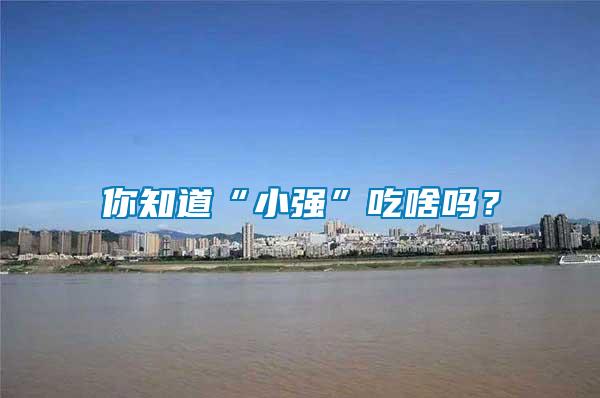 你知道“小强”吃啥吗？