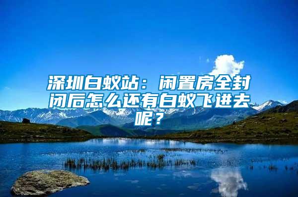 深圳白蚁站：闲置房全封闭后怎么还有白蚁飞进去呢？