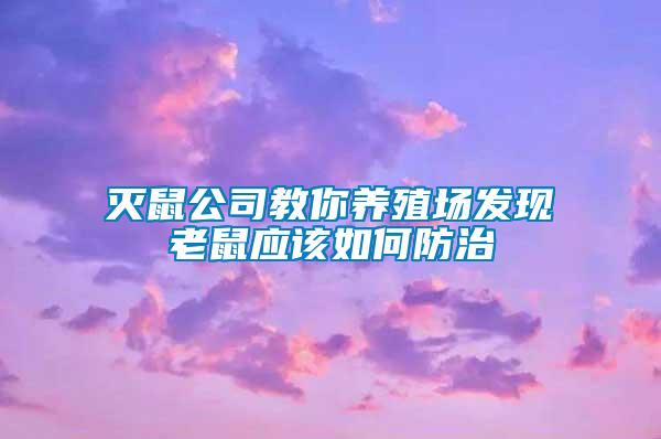 灭鼠公司教你养殖场发现老鼠应该如何防治