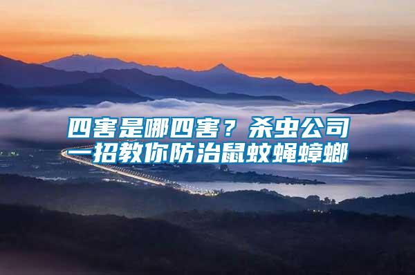 四害是哪四害？杀虫公司一招教你防治鼠蚊蝇蟑螂