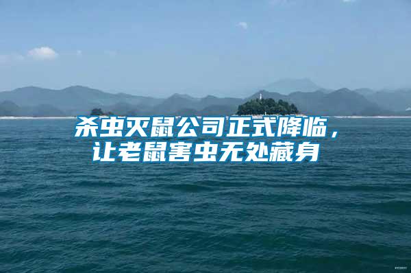 杀虫灭鼠公司正式降临，让老鼠害虫无处藏身