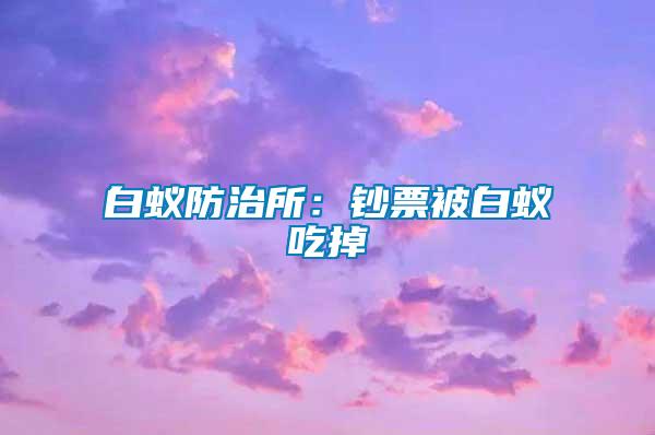 白蚁防治所：钞票被白蚁吃掉