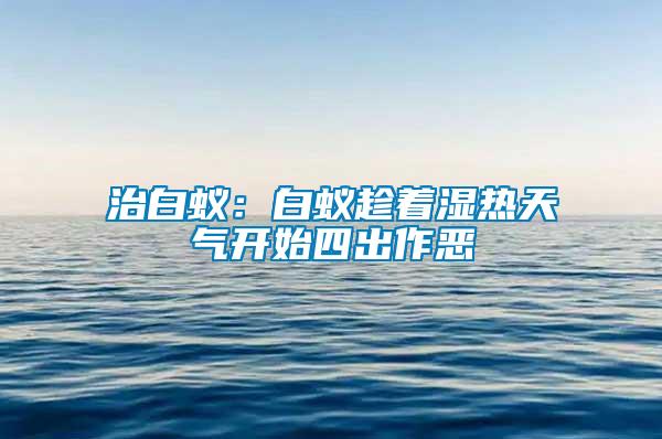 治白蚁：白蚁趁着湿热天气开始四出作恶