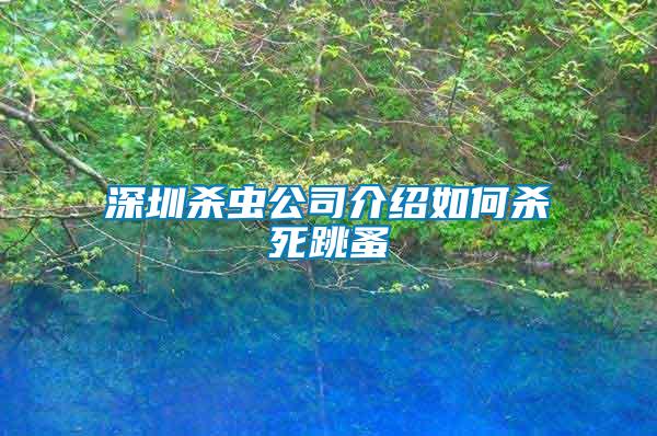 深圳杀虫公司介绍如何杀死跳蚤