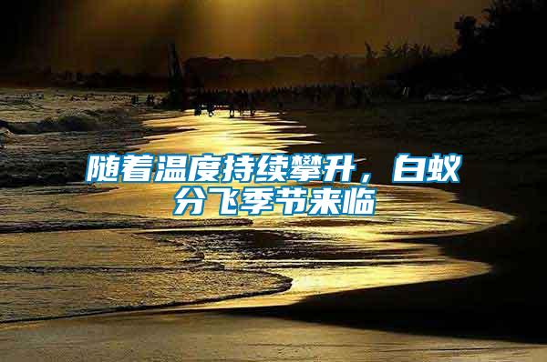 随着温度持续攀升，白蚁分飞季节来临