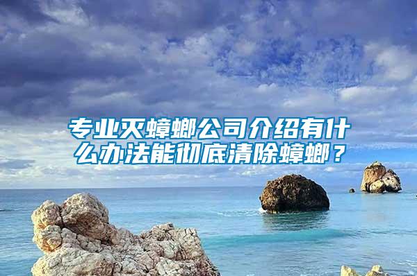 专业灭蟑螂公司介绍有什么办法能彻底清除蟑螂？