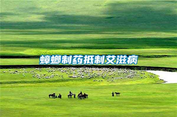 蟑螂制药抵制艾滋病
