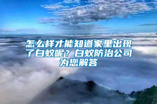 怎么样才能知道家里出现了白蚁呢？白蚁防治公司为您解答