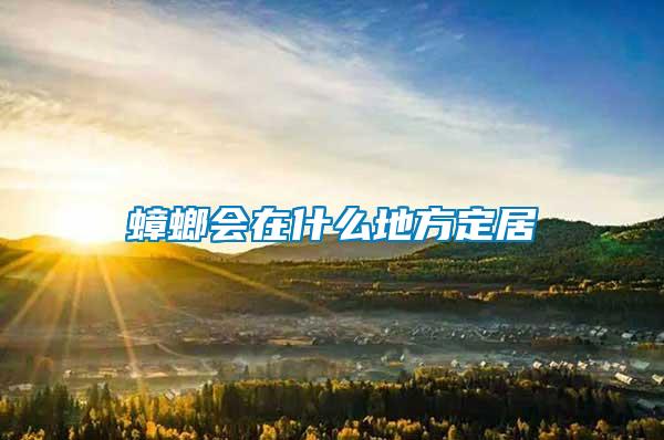 蟑螂会在什么地方定居