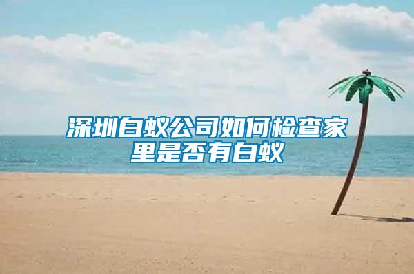 深圳白蚁公司如何检查家里是否有白蚁