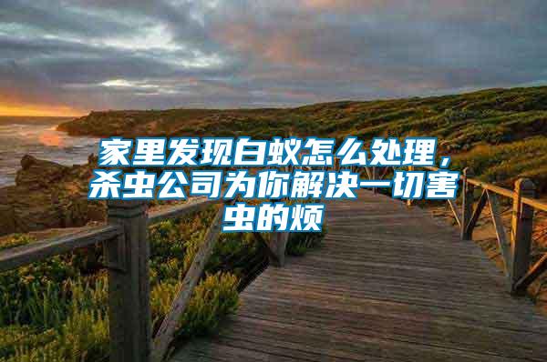 家里发现白蚁怎么处理，杀虫公司为你解决一切害虫的烦