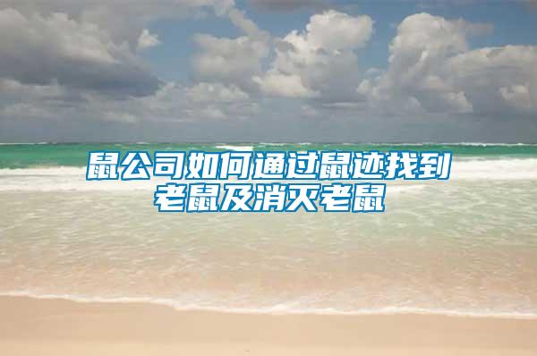 鼠公司如何通过鼠迹找到老鼠及消灭老鼠