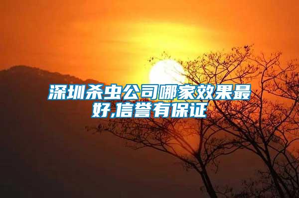 深圳杀虫公司哪家效果最好,信誉有保证