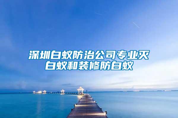 深圳白蚁防治公司专业灭白蚁和装修防白蚁