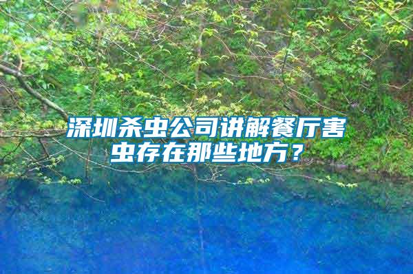 深圳杀虫公司讲解餐厅害虫存在那些地方？