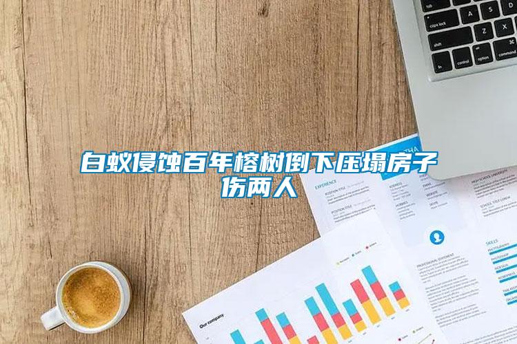白蚁侵蚀百年榕树倒下压塌房子伤两人