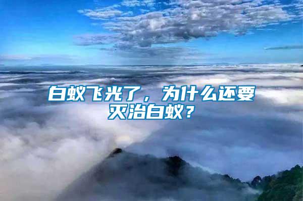 白蚁飞光了，为什么还要灭治白蚁？