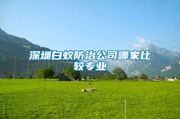 深圳白蚁防治公司哪家比较专业