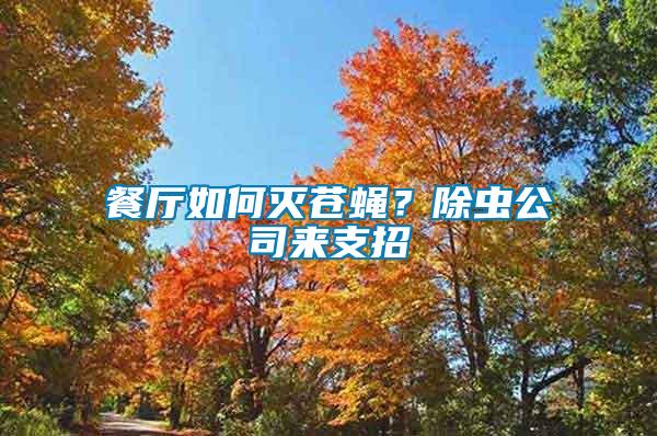 餐厅如何灭苍蝇？除虫公司来支招