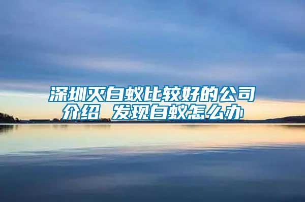 深圳灭白蚁比较好的公司介绍 发现白蚁怎么办