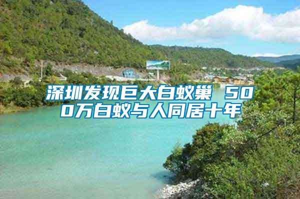 深圳发现巨大白蚁巢 500万白蚁与人同居十年