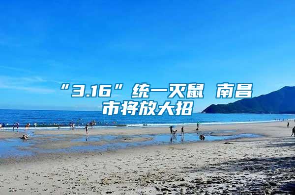 “3.16”统一灭鼠 南昌市将放大招