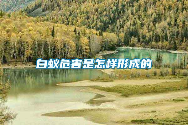 白蚁危害是怎样形成的