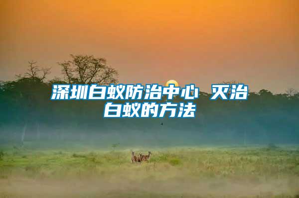 深圳白蚁防治中心 灭治白蚁的方法