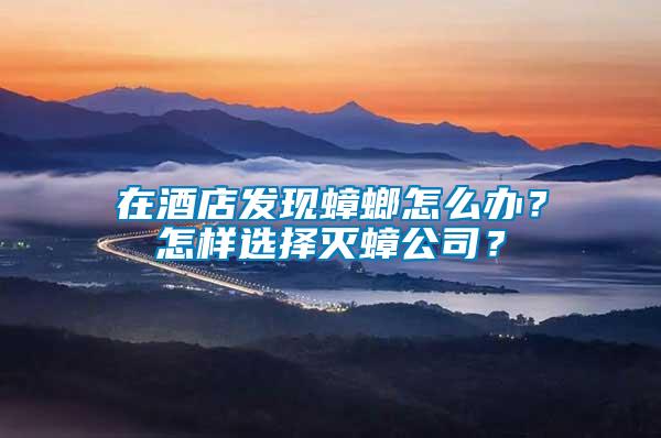 在酒店发现蟑螂怎么办？怎样选择灭蟑公司？