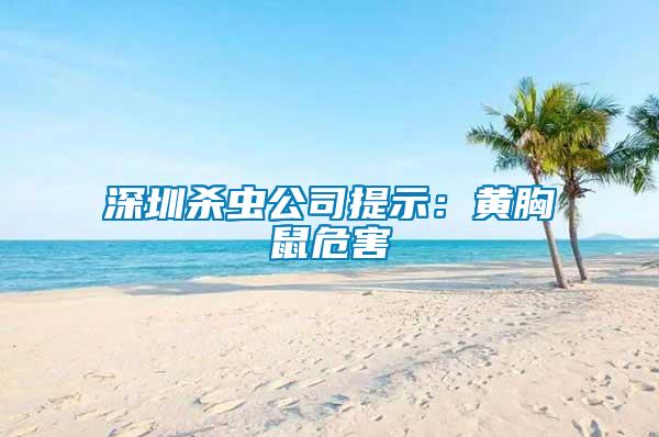 深圳杀虫公司提示：黄胸鼠危害