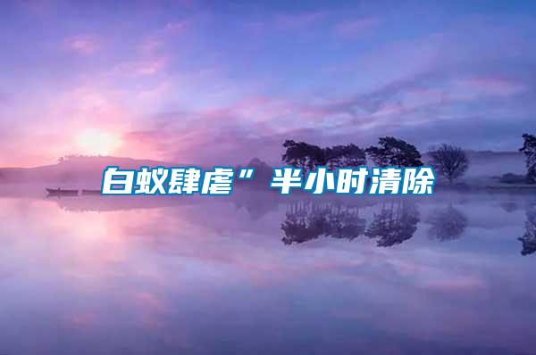白蚁肆虐”半小时清除