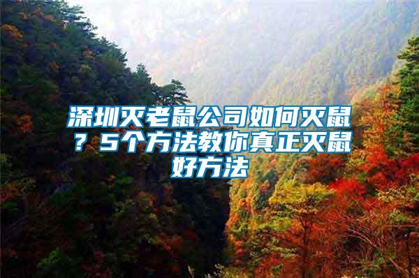 深圳灭老鼠公司如何灭鼠？5个方法教你真正灭鼠好方法