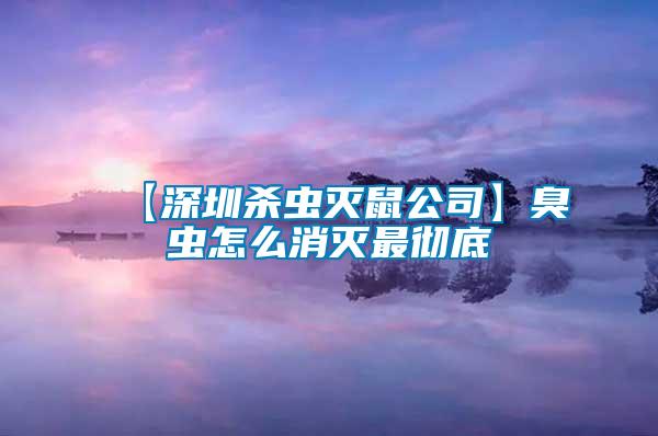 【深圳杀虫灭鼠公司】臭虫怎么消灭最彻底