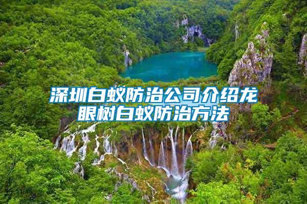 深圳白蚁防治公司介绍龙眼树白蚁防治方法