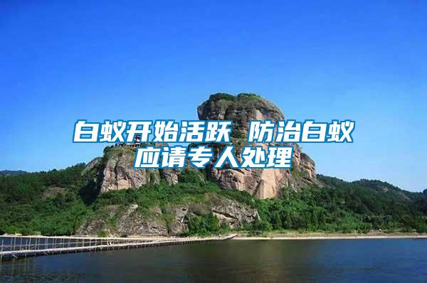 白蚁开始活跃 防治白蚁应请专人处理