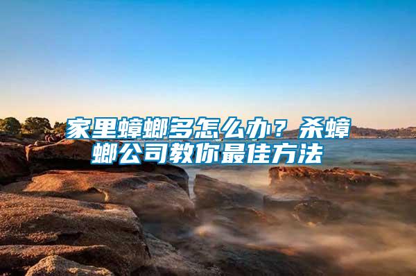 家里蟑螂多怎么办？杀蟑螂公司教你最佳方法