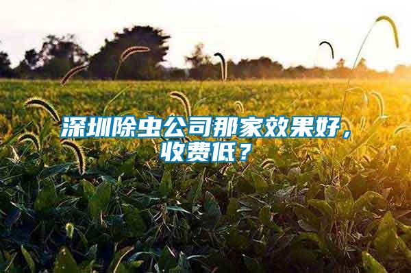 深圳除虫公司那家效果好，收费低？