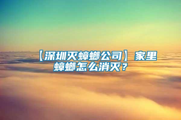 【深圳灭蟑螂公司】家里蟑螂怎么消灭？