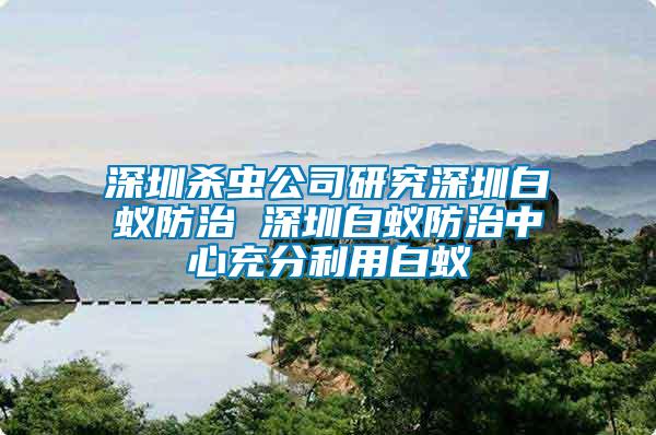 深圳杀虫公司研究深圳白蚁防治 深圳白蚁防治中心充分利用白蚁