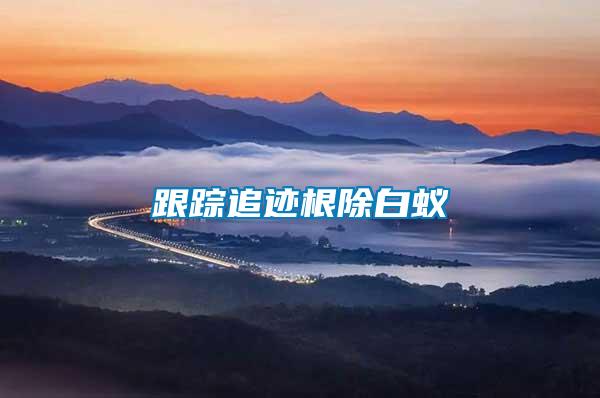 跟踪追迹根除白蚁