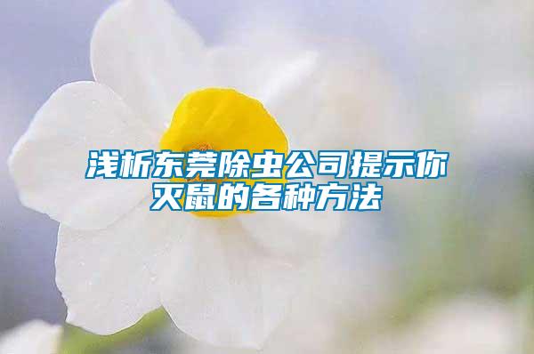 浅析东莞除虫公司提示你灭鼠的各种方法