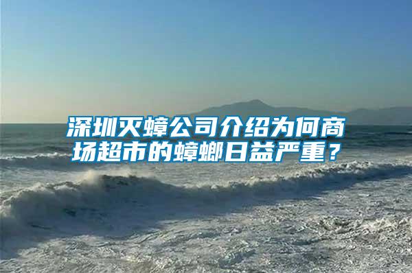 深圳灭蟑公司介绍为何商场超市的蟑螂日益严重？