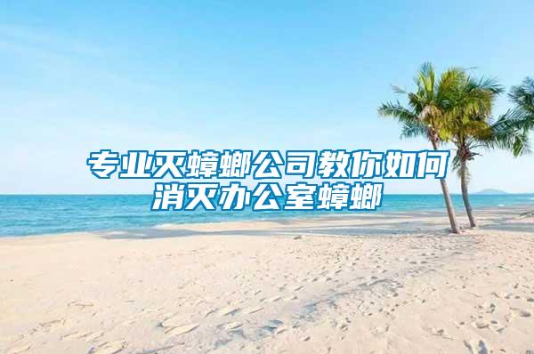 专业灭蟑螂公司教你如何消灭办公室蟑螂